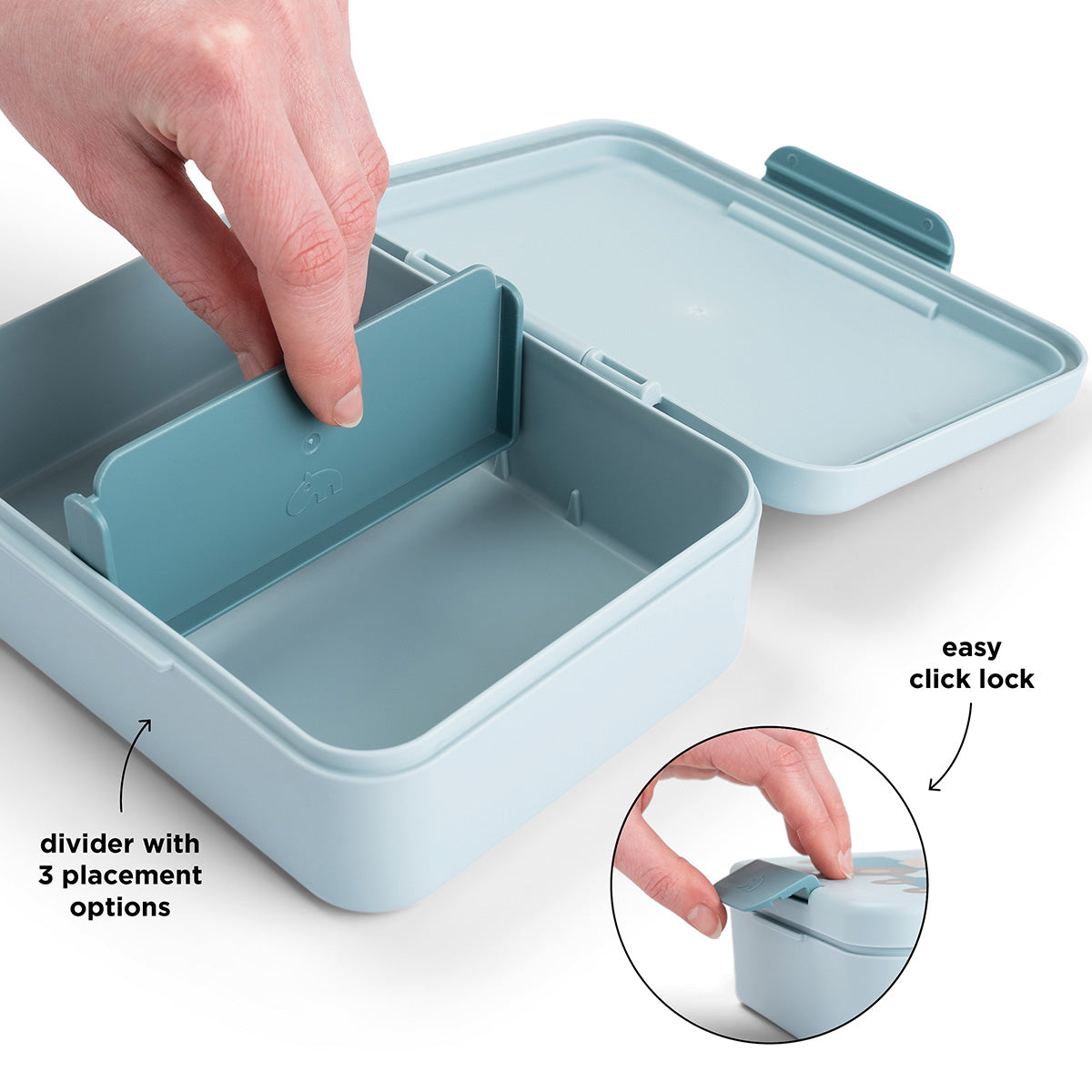 Lunch box w/divider