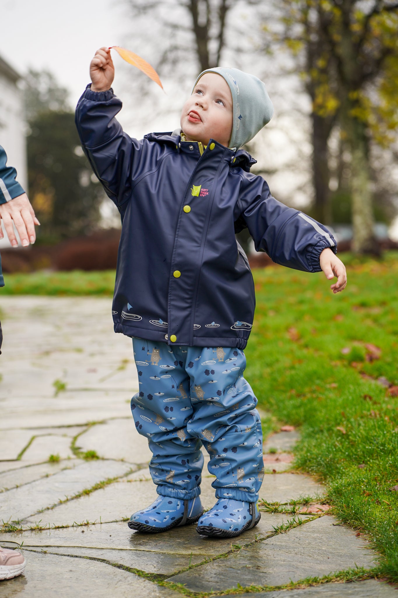 Regnsett Plask - Tolvmeterskogen