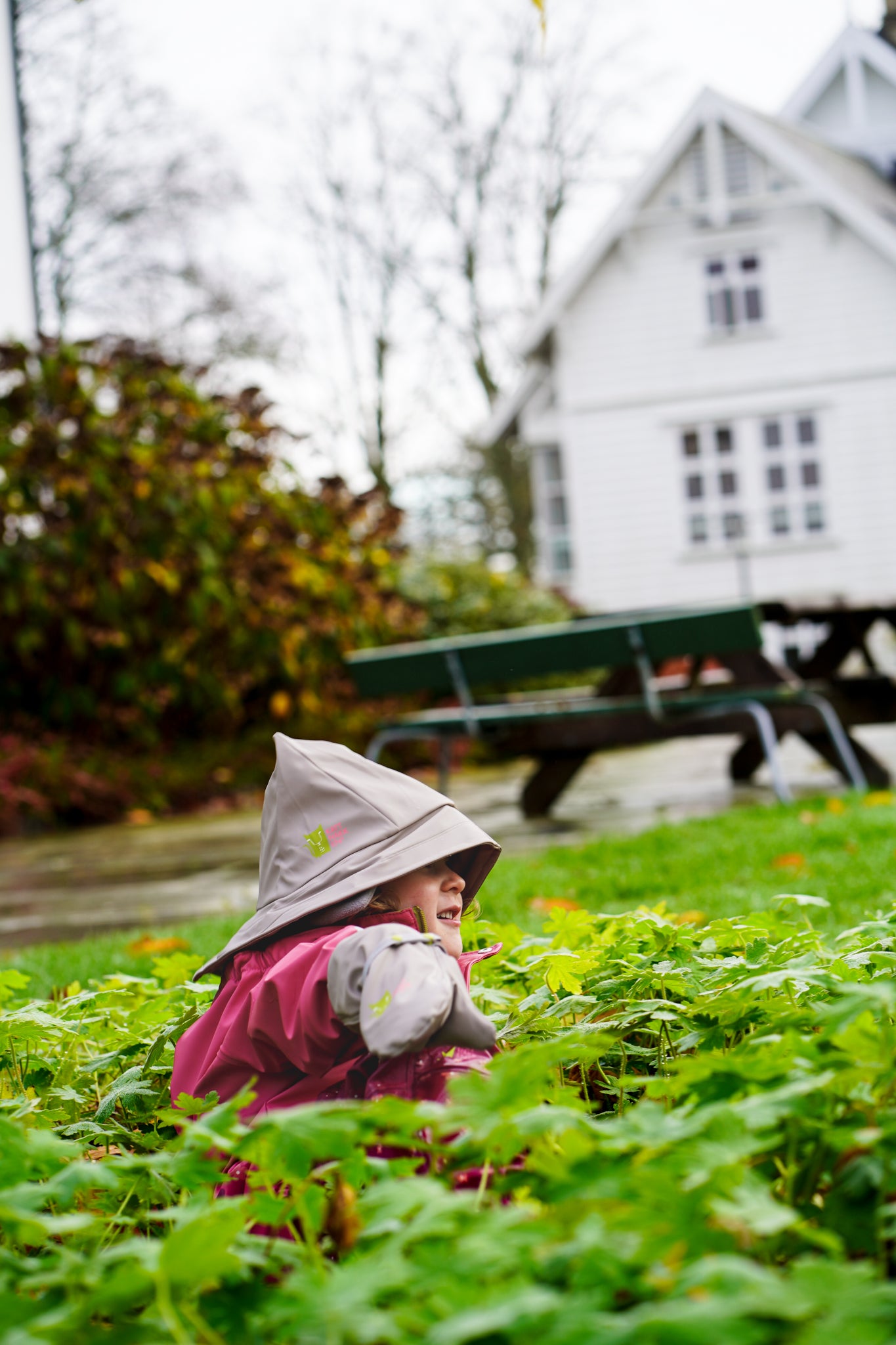 Sydvest - Tolvmeterskogen