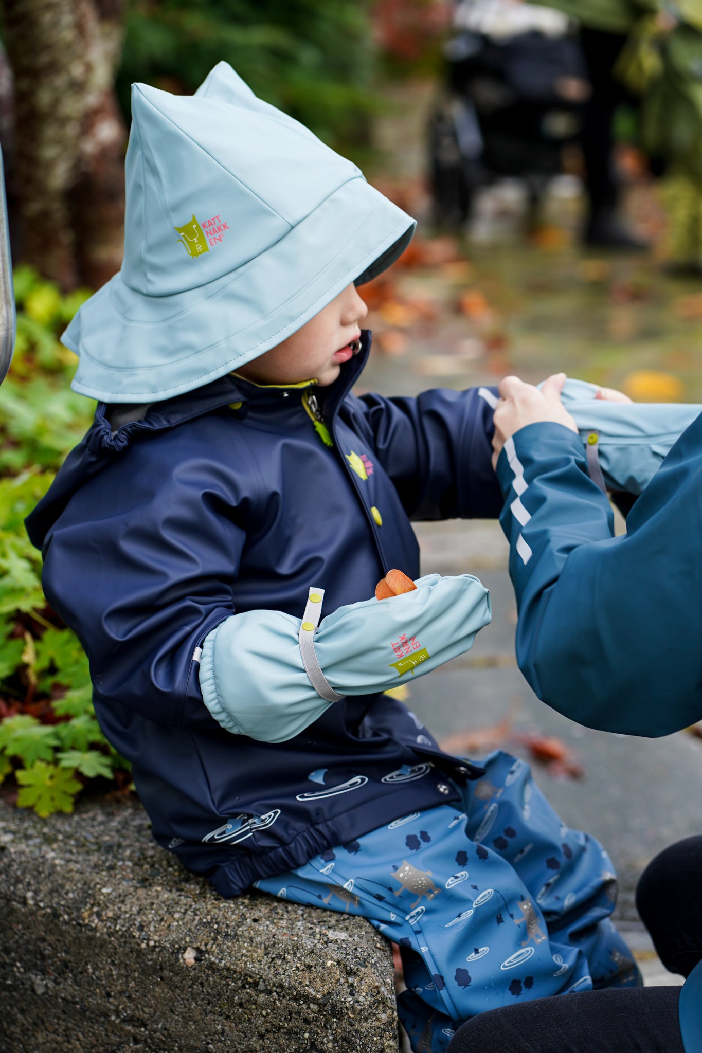 Sydvest - Tolvmeterskogen
