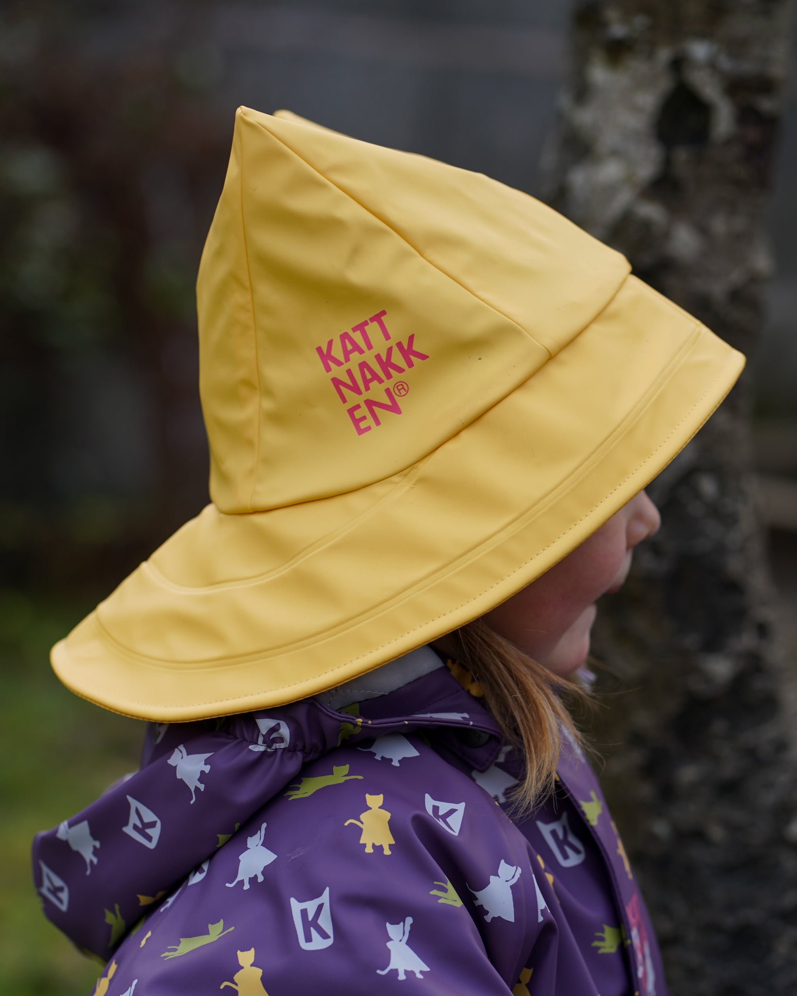 Kattnakken Sydvest - Bananskum