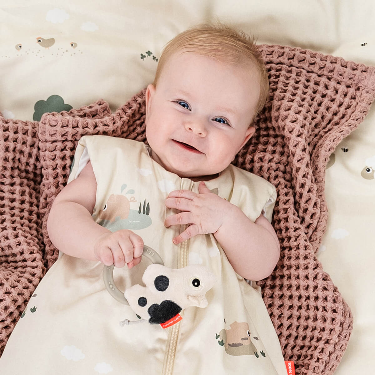 Sensory rattle w/teether Dotti