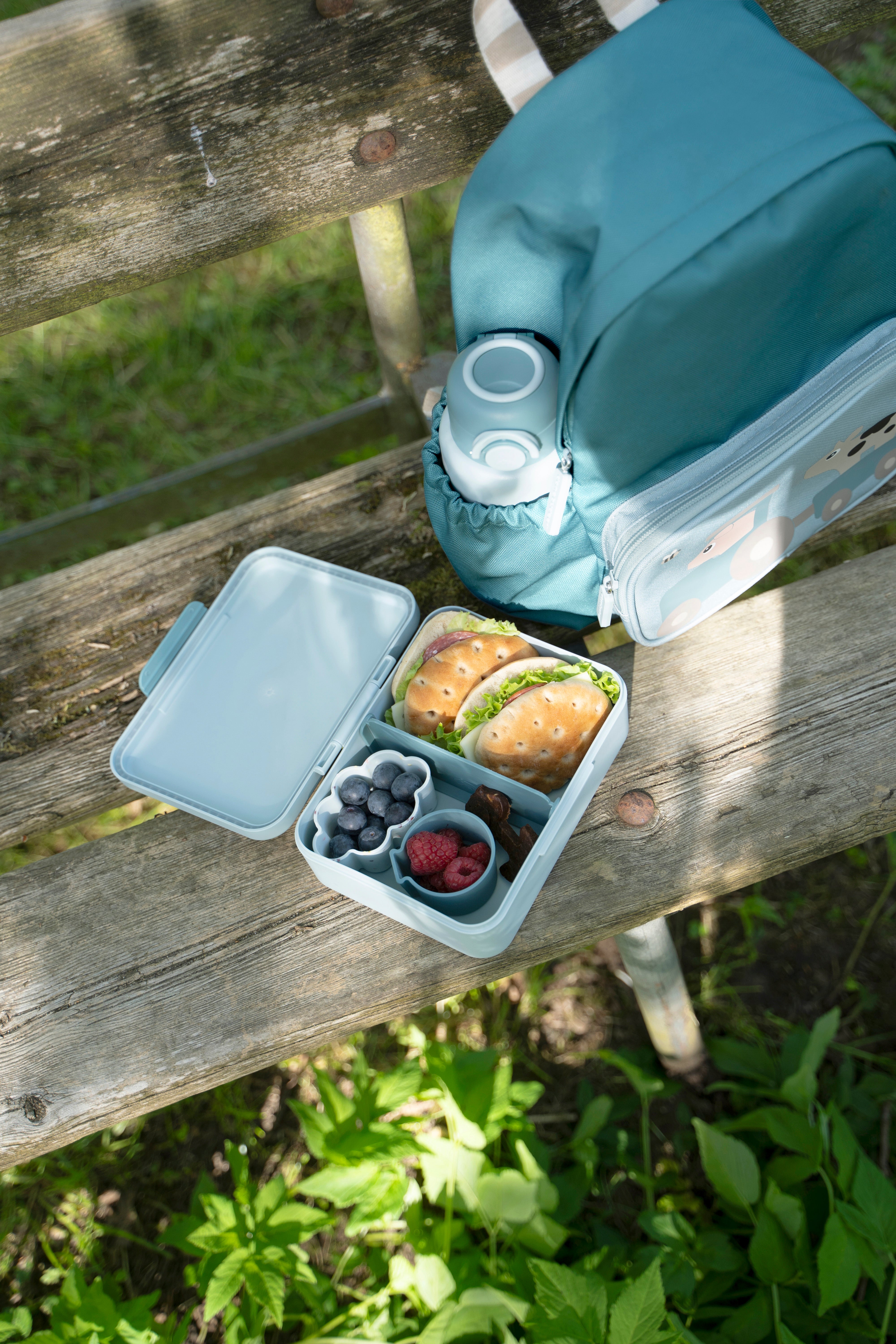 Lunch box w/divider