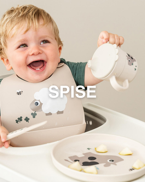 Spise