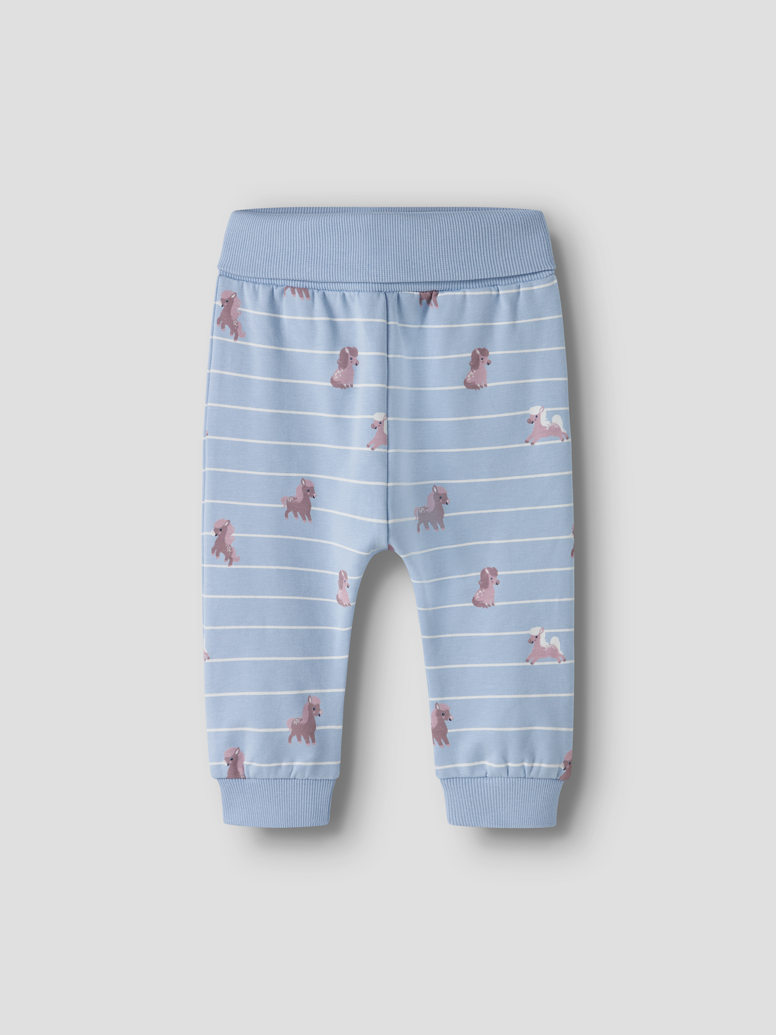 model_shot-front