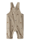 pack_shot-front