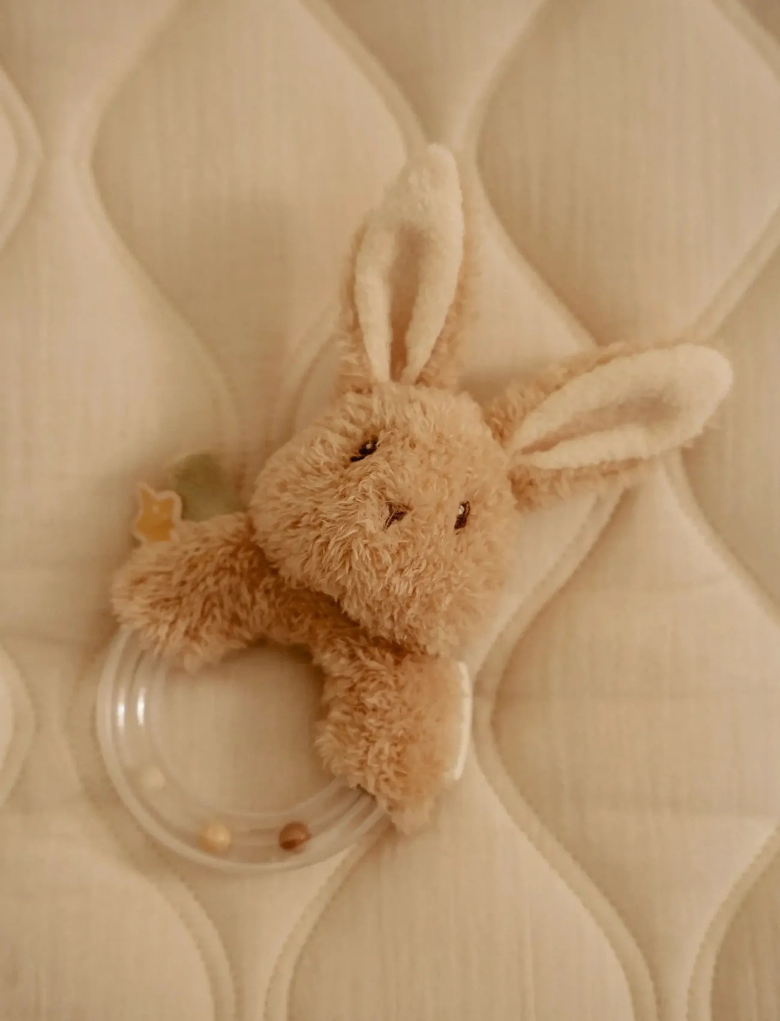 Forest Friends rangle - kanin