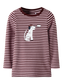 pack_shot-front