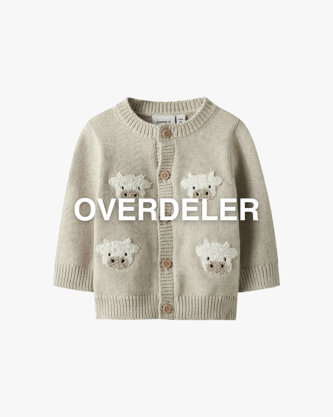 Bildebeskrivelse